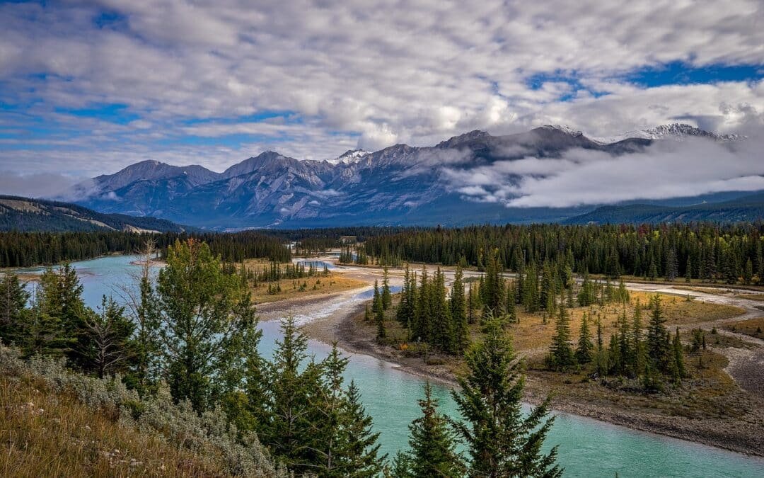 Services de traduction en Alberta