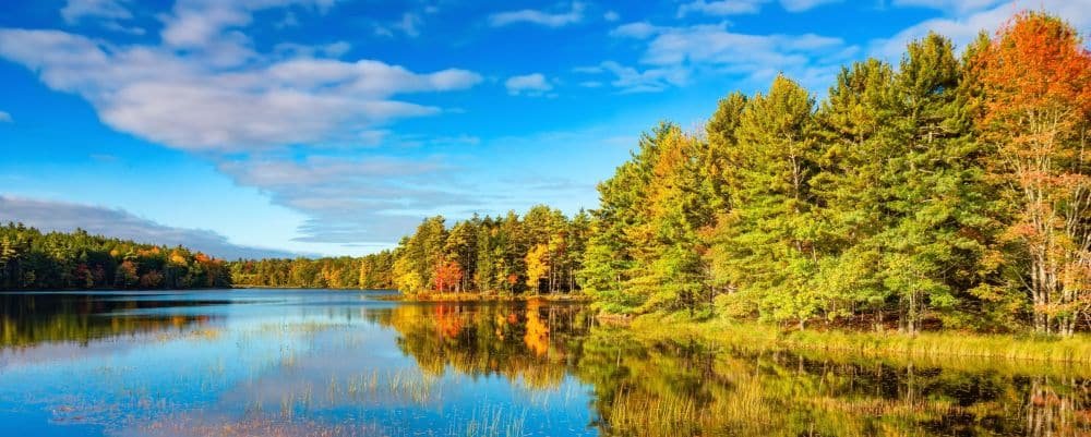 Nova Scotia